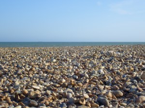 Among the many, the right one will come to hand