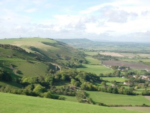 The Southdowns