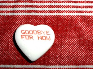 100188288_36095f0410_b[1]